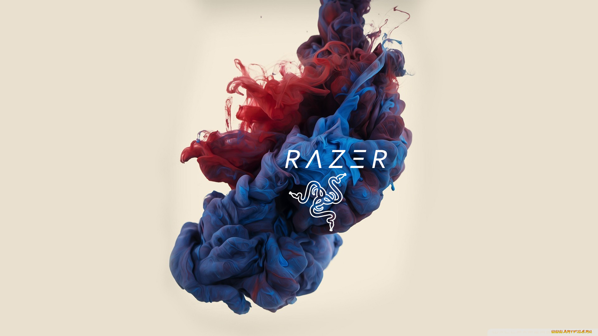 компьютеры, razer, логотип, фон