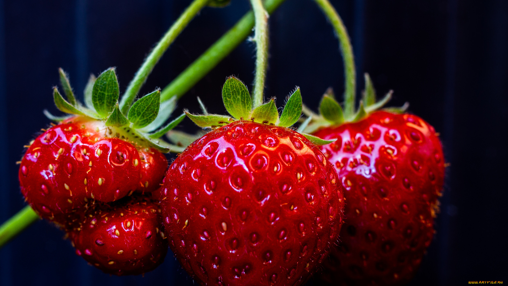 природа, Ягоды, простор