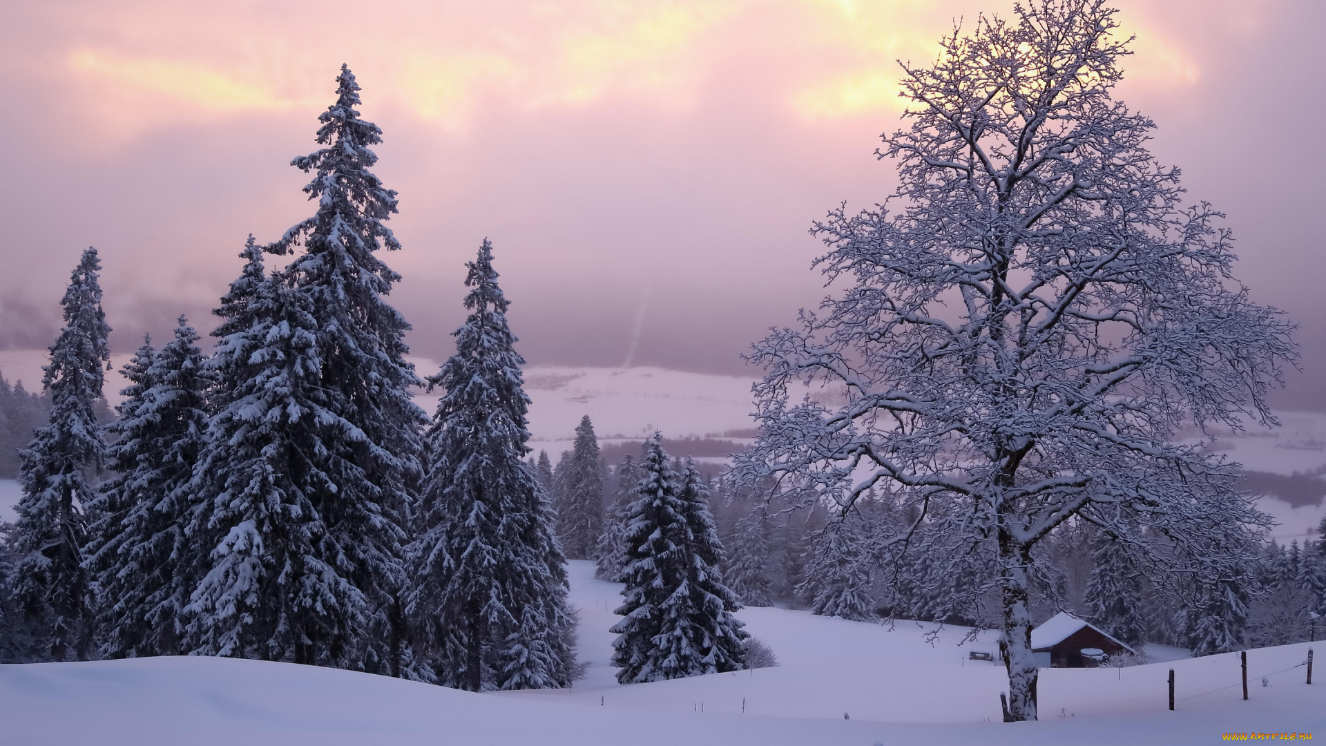 природа, зима, деревья, снег