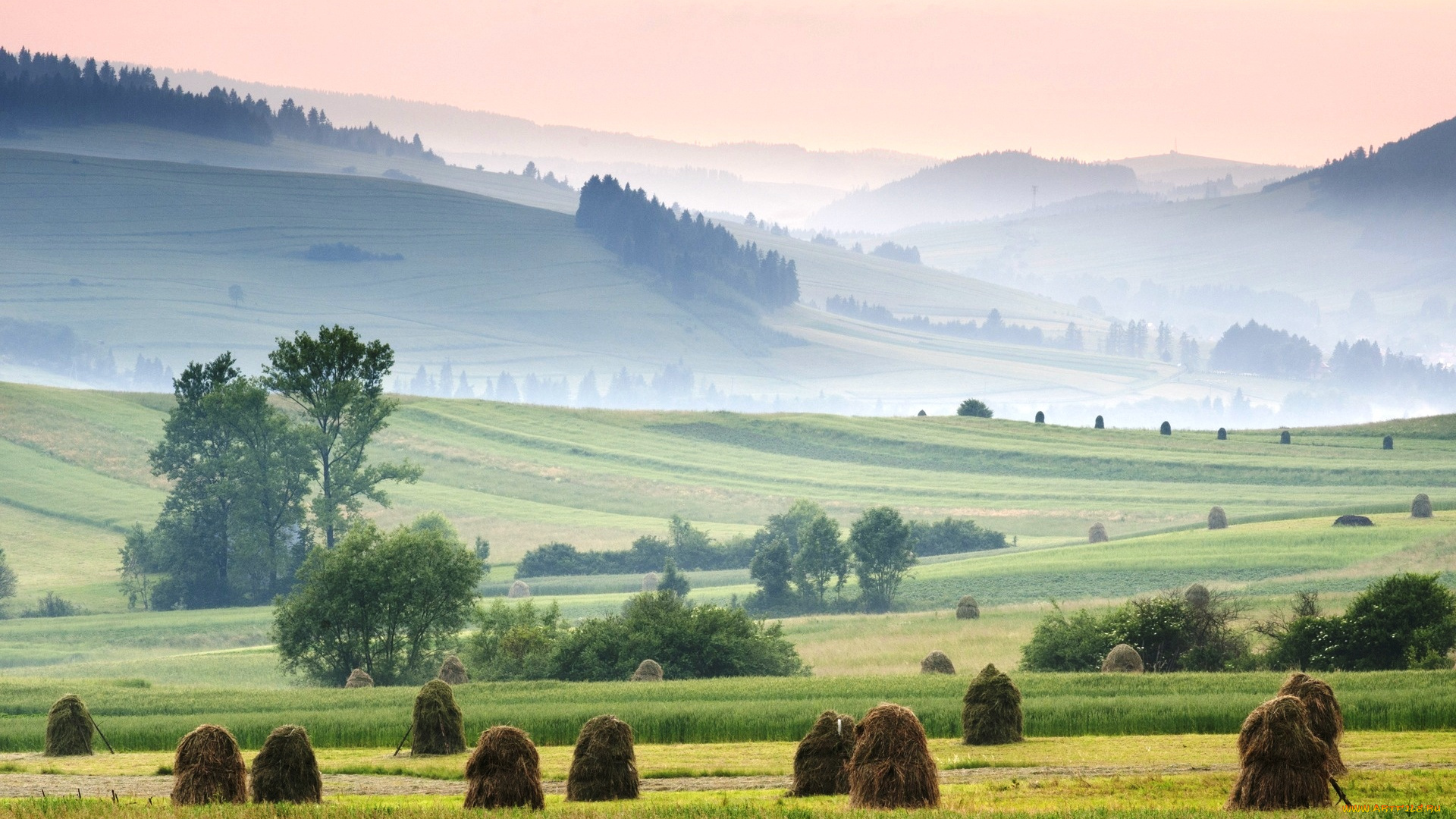 западные, карпаты, , польша, природа, луга, холмы, трава, туман, стога