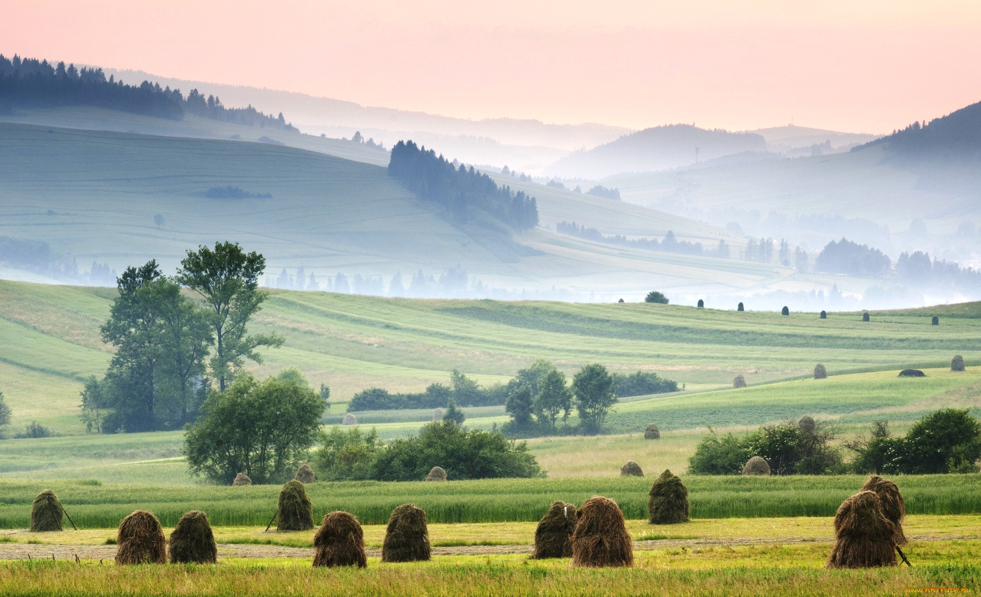 западные, карпаты, , польша, природа, луга, холмы, трава, туман, стога
