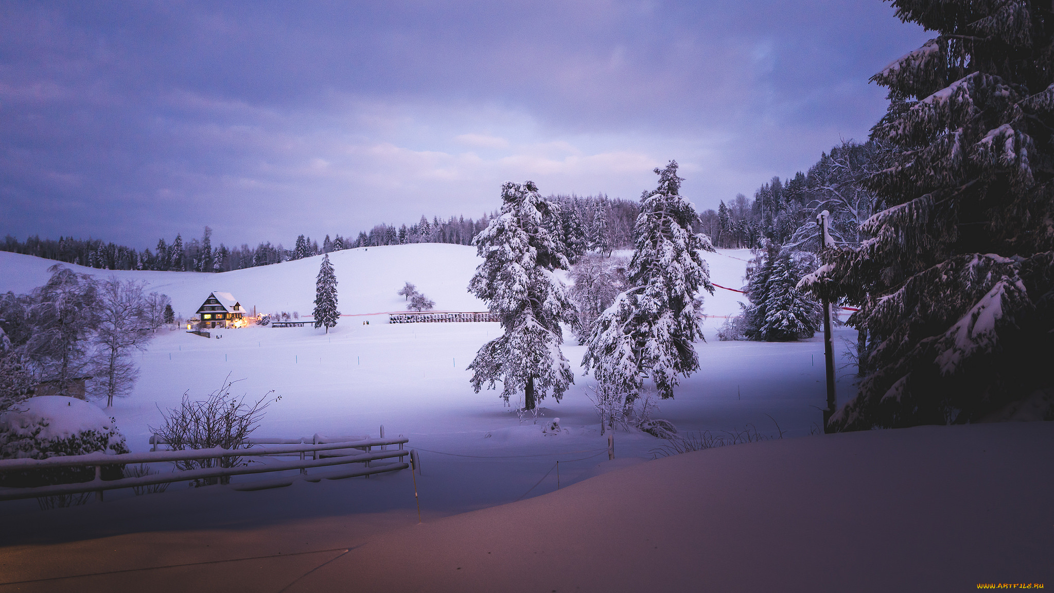 природа, зима, деревья, снег