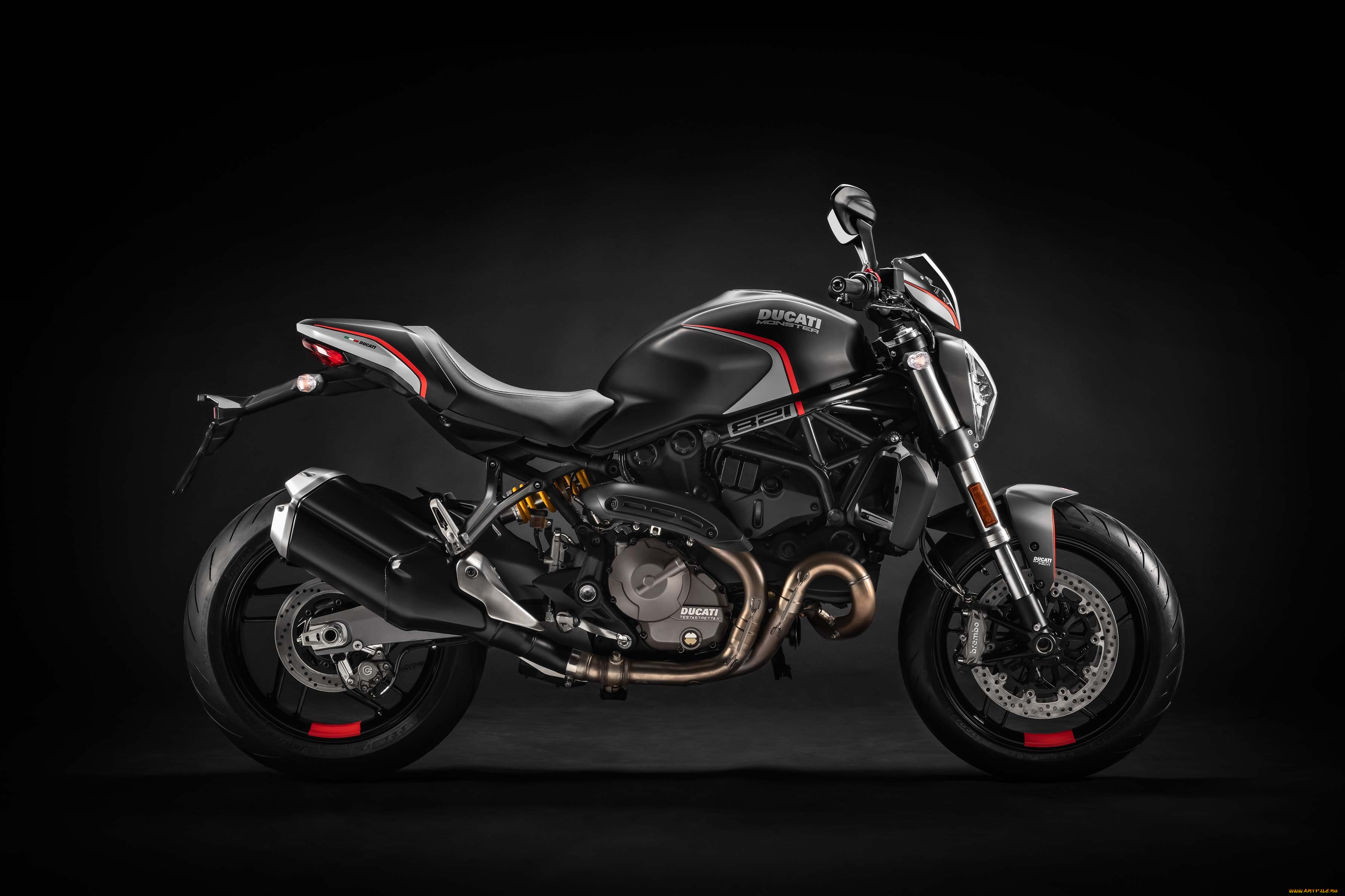 2019, ducati, monster, 821, stealth, мотоциклы, ducati, 2019, дукати, мотоцикл, stealth, monster, 821