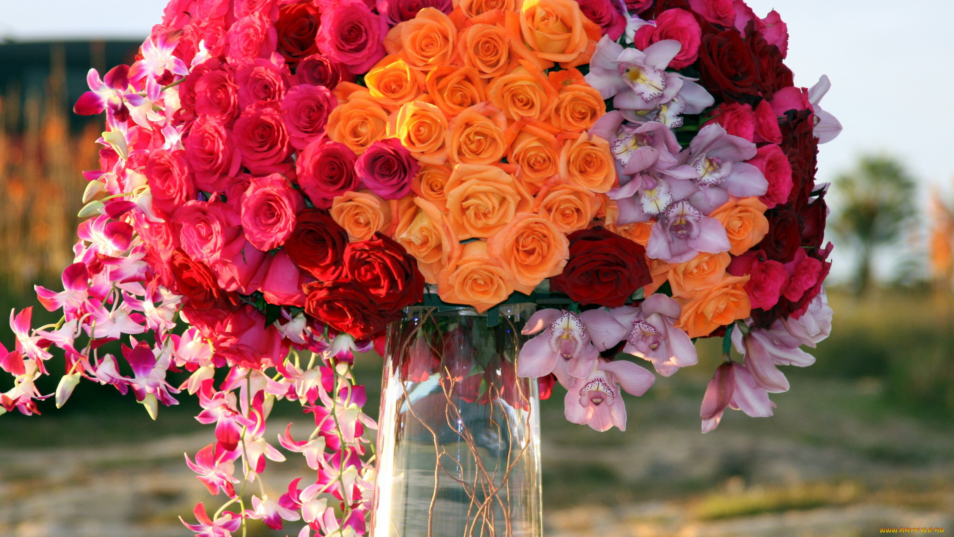 цветы, букеты, , композиции, орхидеи, розы