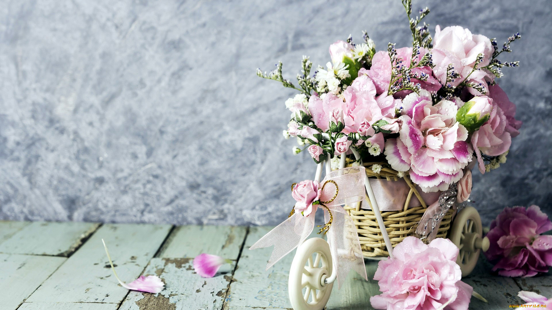 цветы, гвоздики, розовый