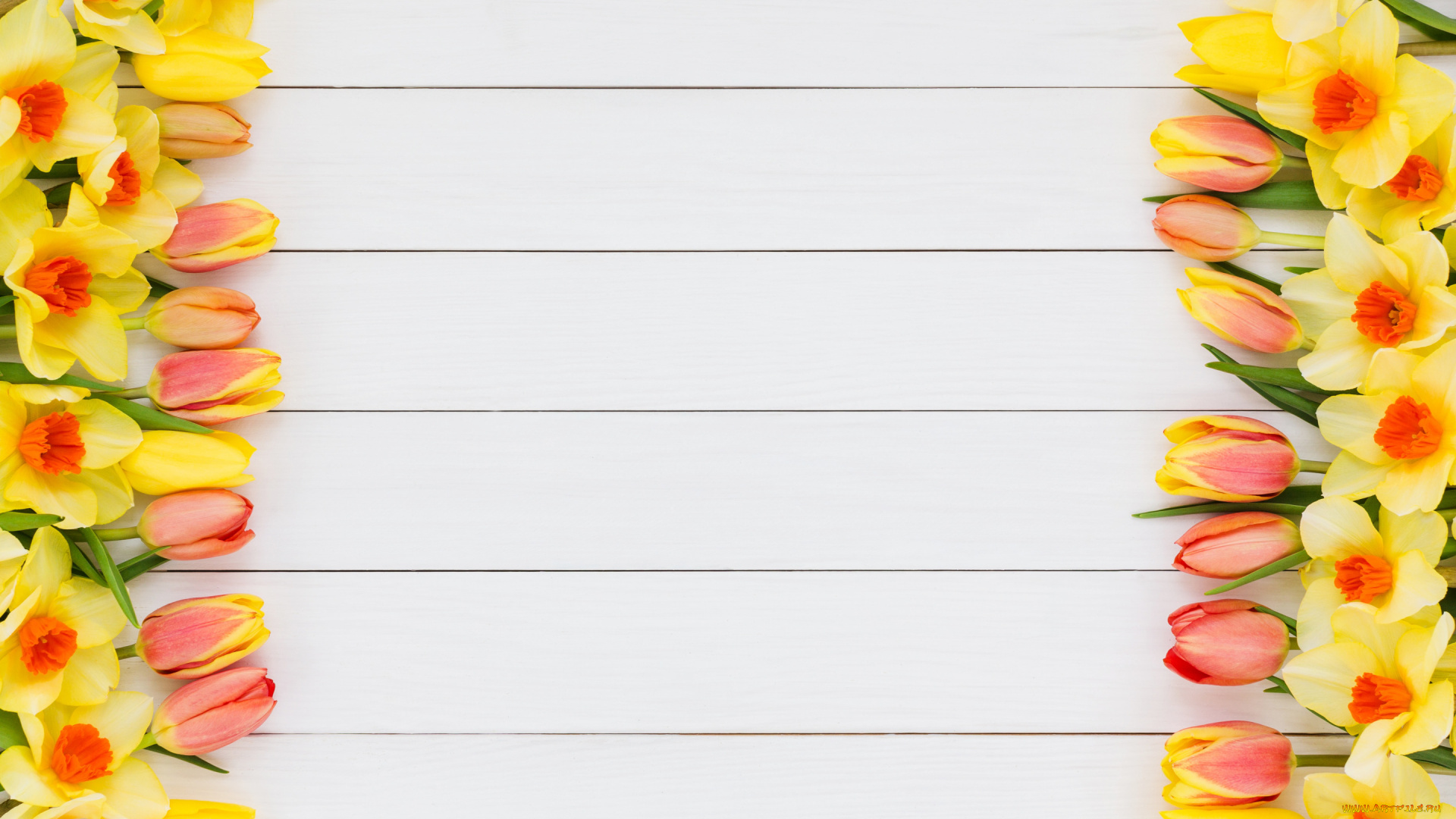 цветы, разные, вместе, нарциссы, тюльпаны