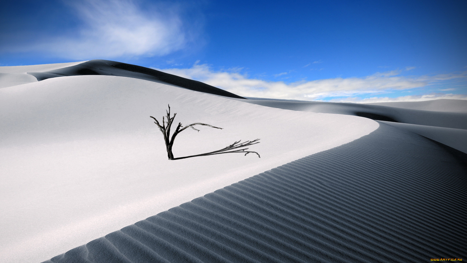 природа, пустыни, дюны, песок, пустыня, небо, дерево, барханы