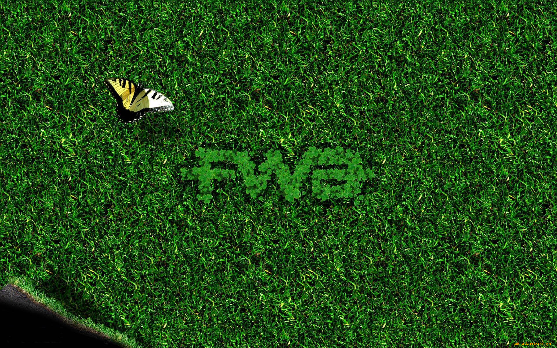 разное, компьютерный, дизайн, буквы, лужайка, бабочка