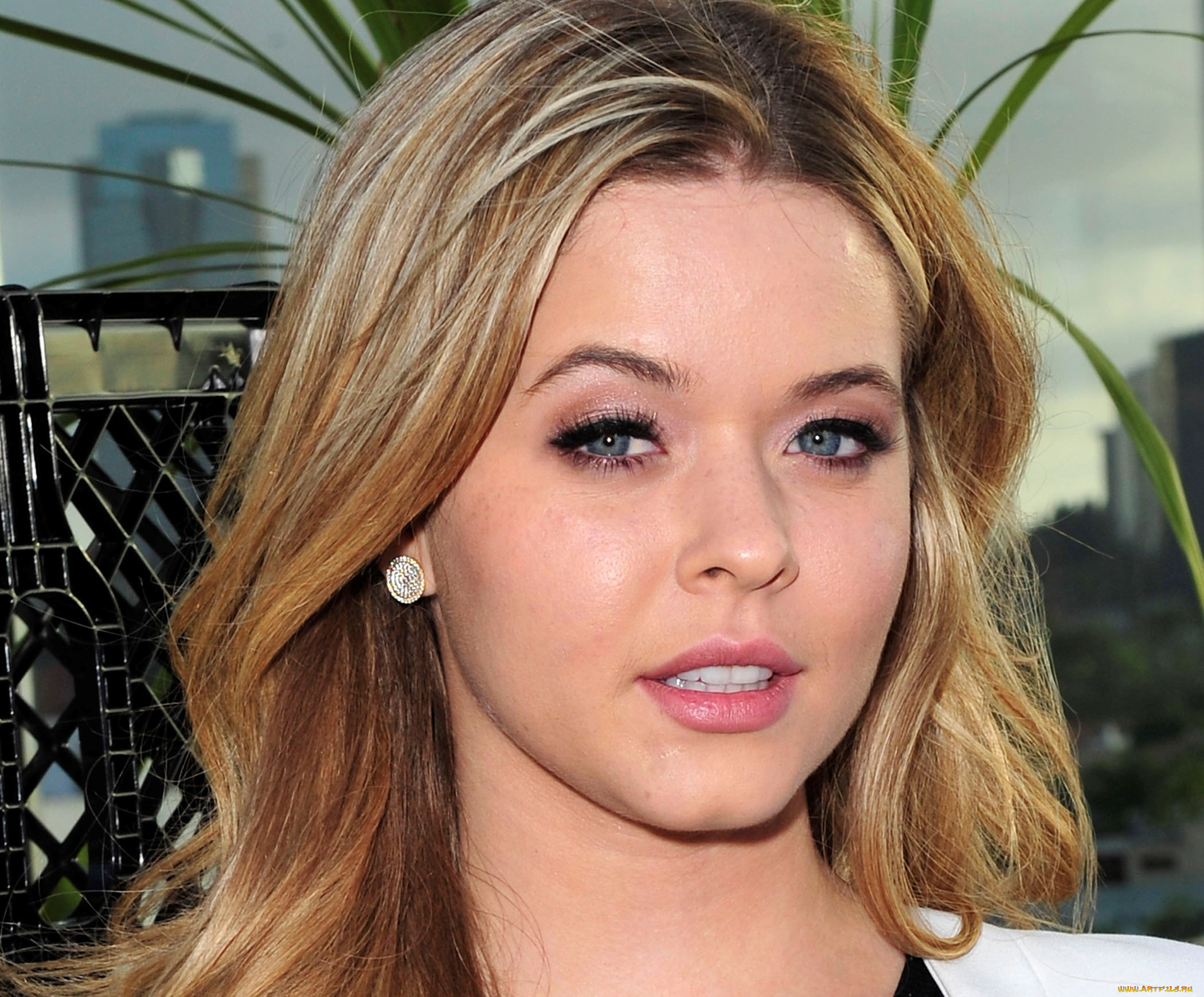 девушки, sasha, pieterse, лицо, блондинка, актриса