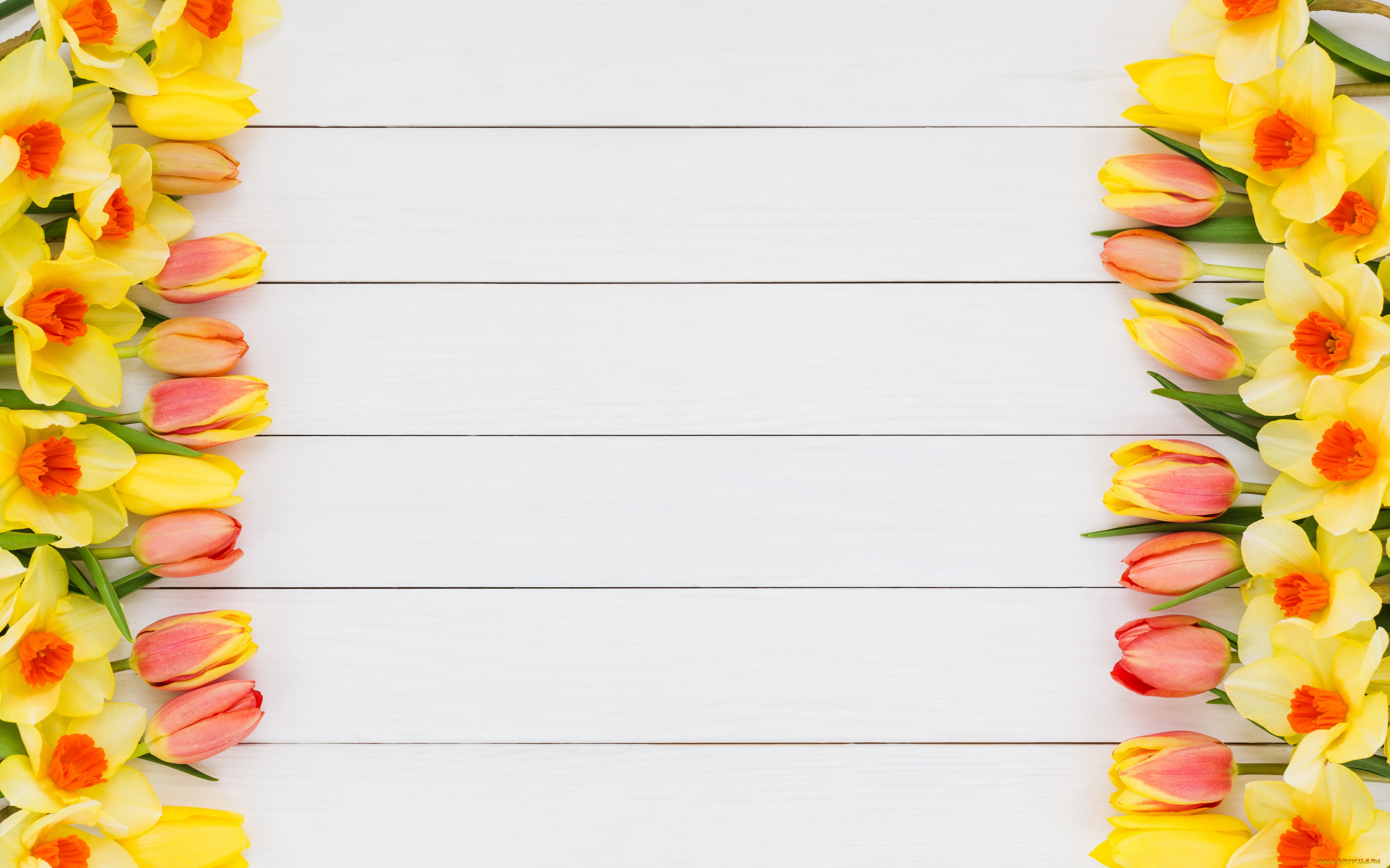 цветы, разные, вместе, нарциссы, тюльпаны