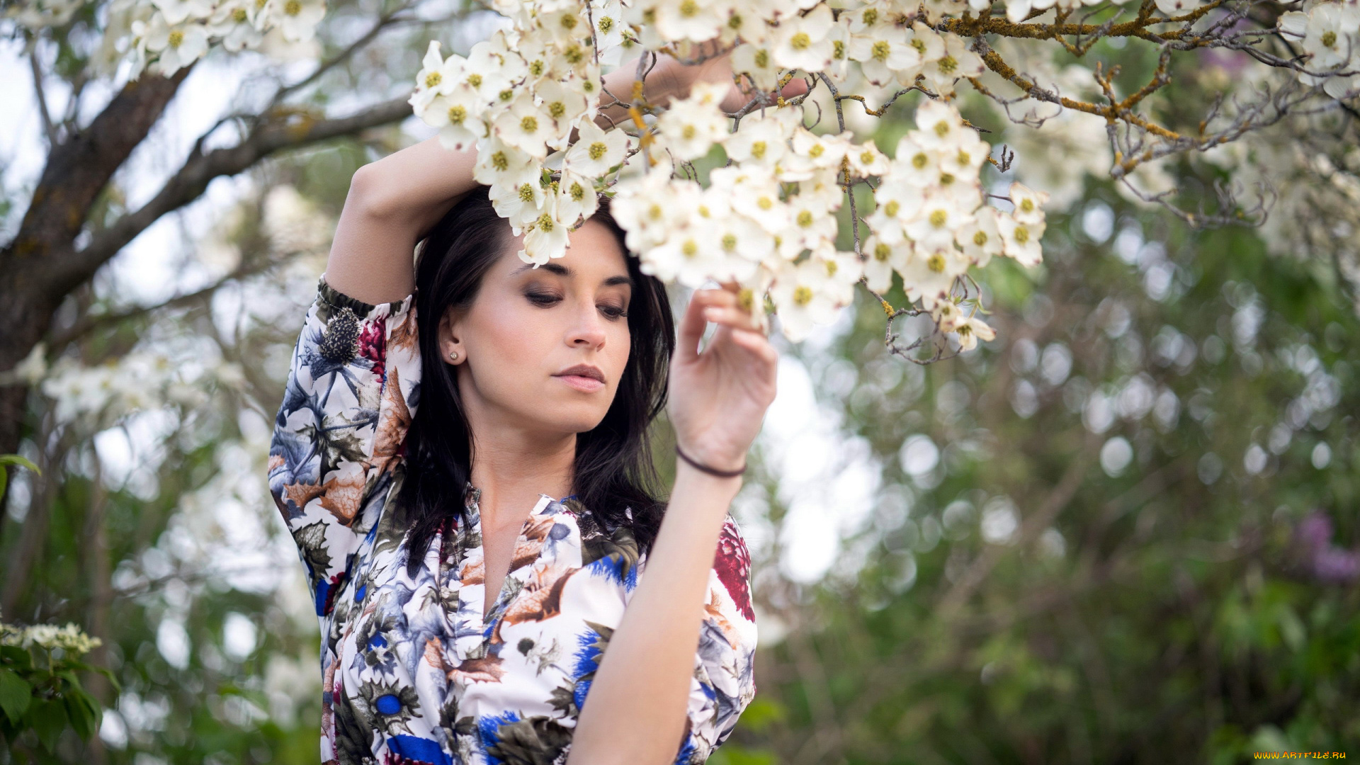 девушки, -, брюнетки, , шатенки, весна, цветущий, сад