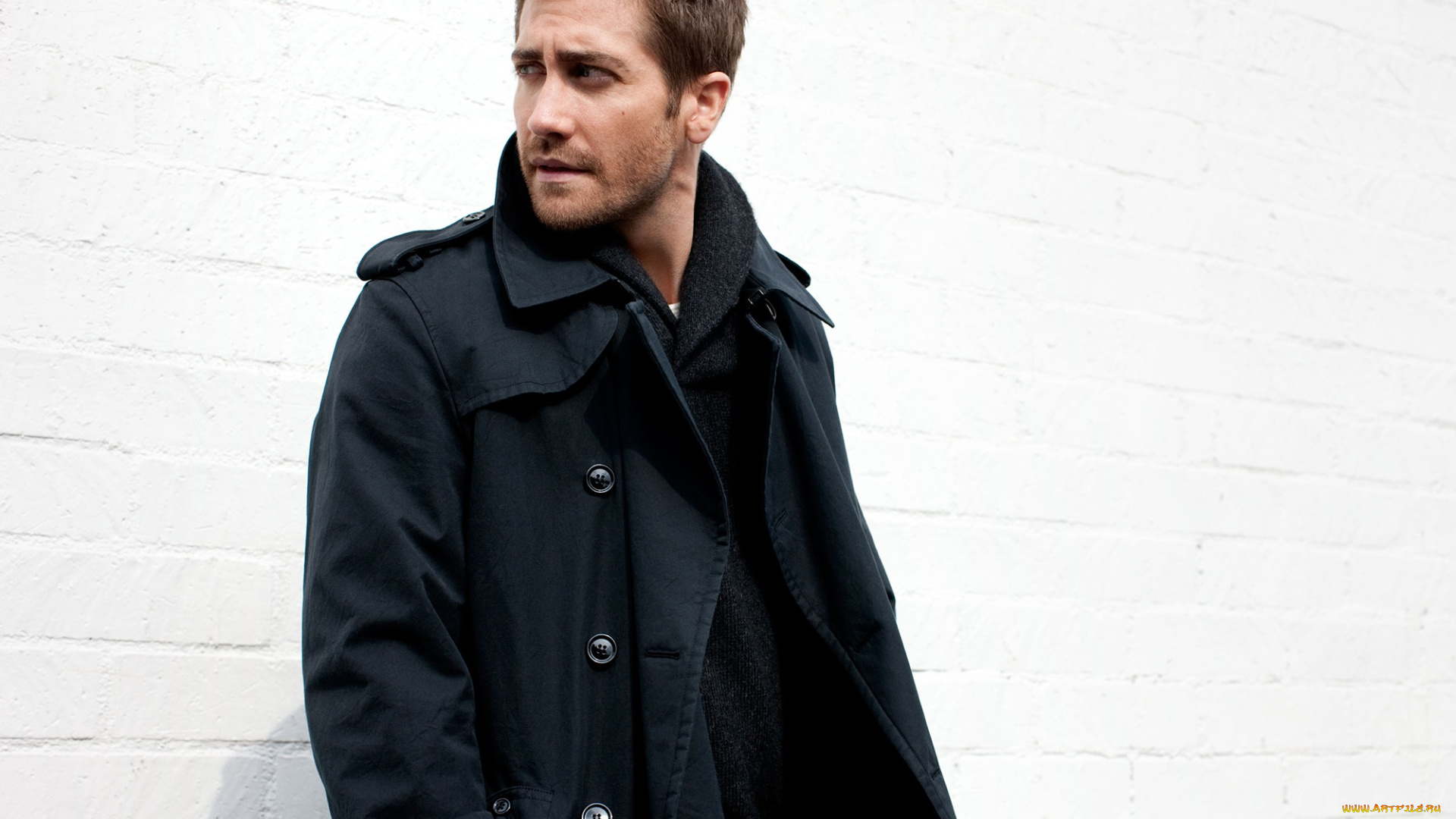 мужчины, jake, gyllenhaal, jake, gyllenhaal