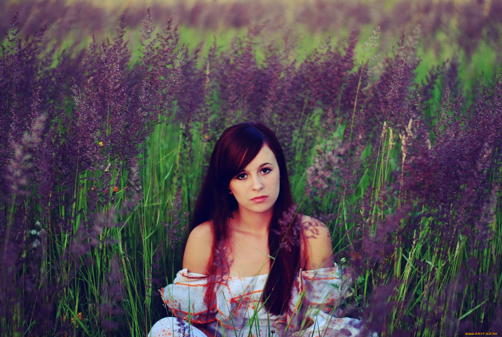 девушки, -, рыжеволосые, и, разноцветные, луг, цветы