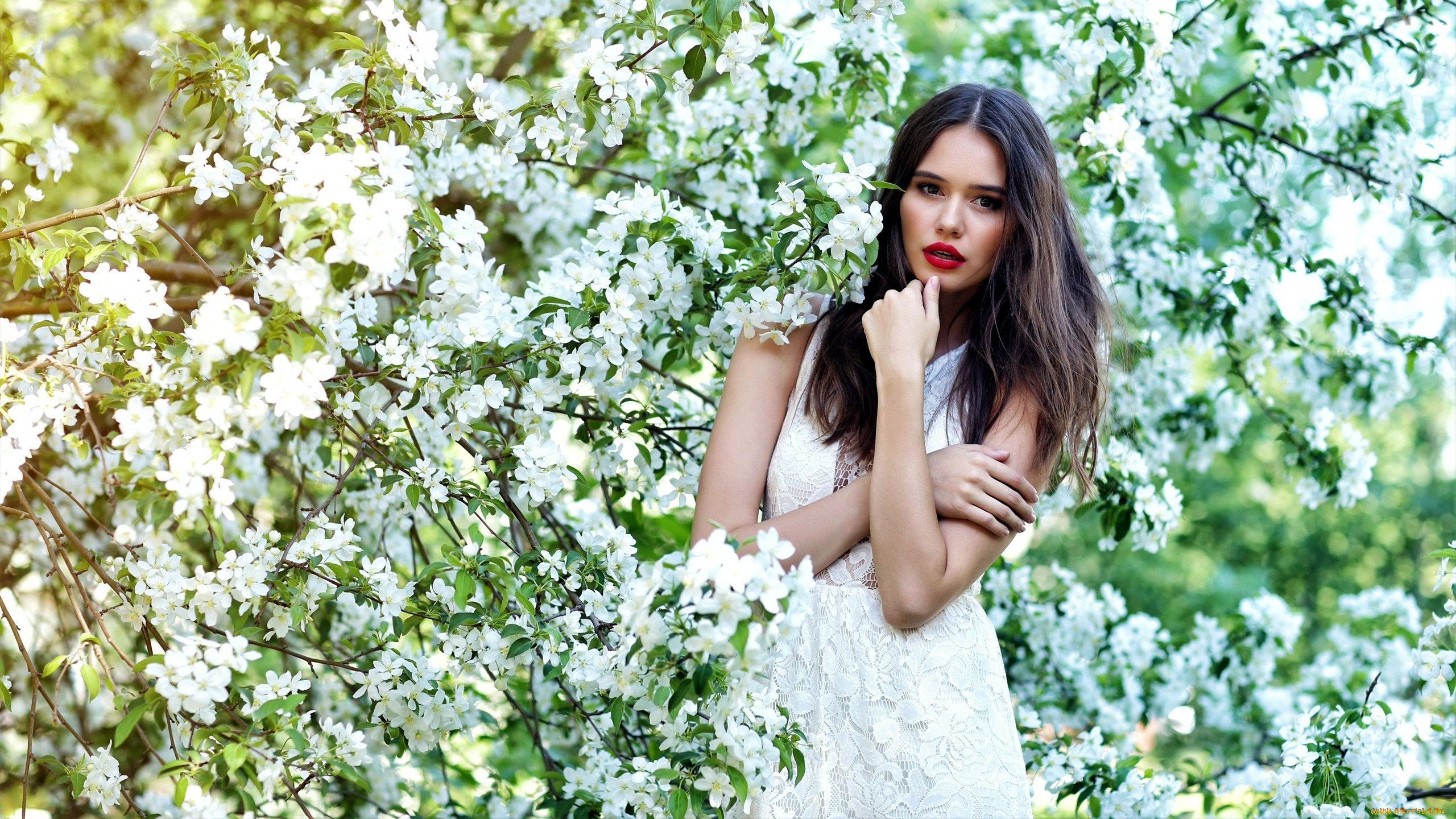 девушки, -, брюнетки, , шатенки, весна, цветущий, сад