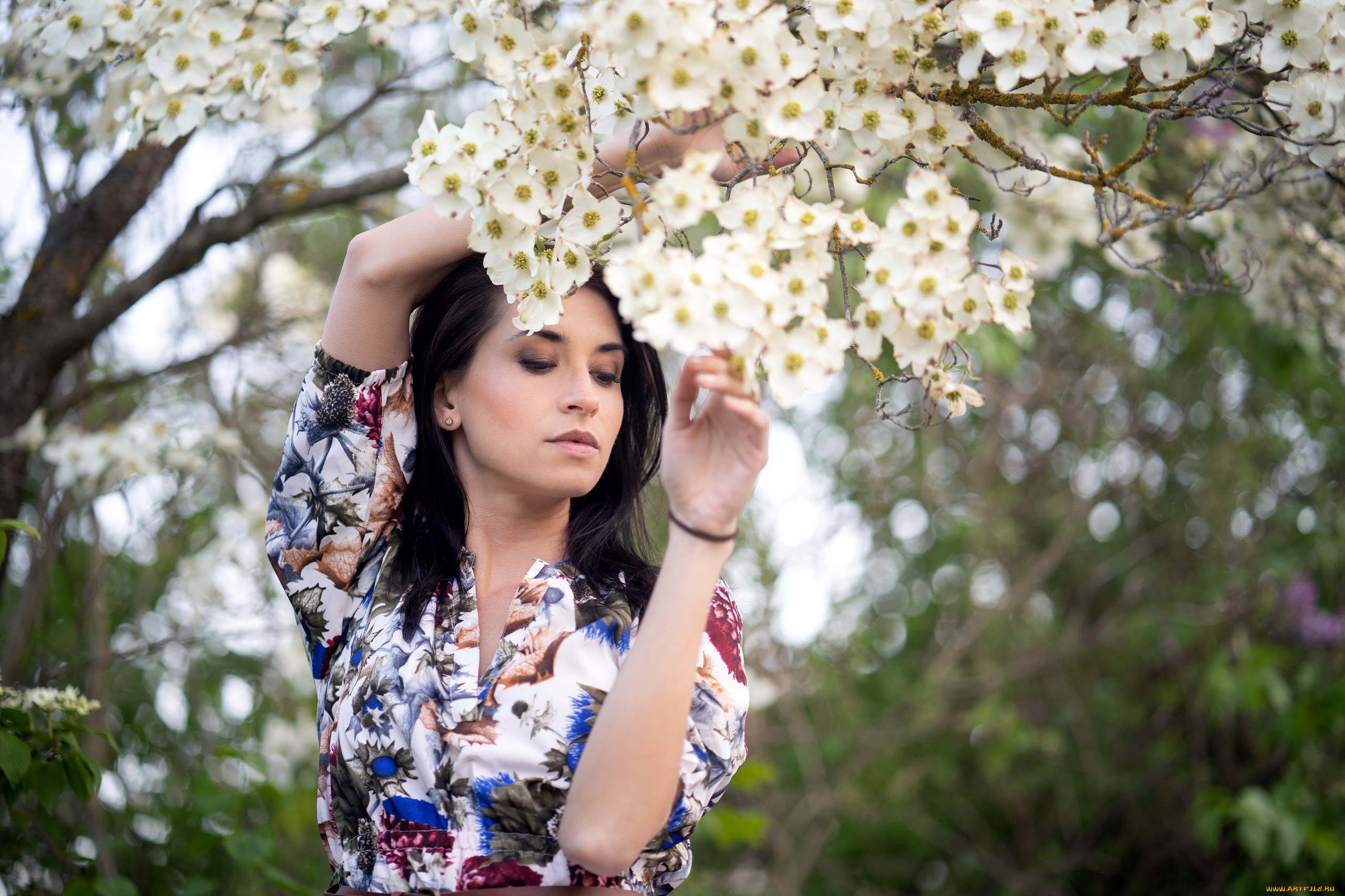 девушки, -, брюнетки, , шатенки, весна, цветущий, сад