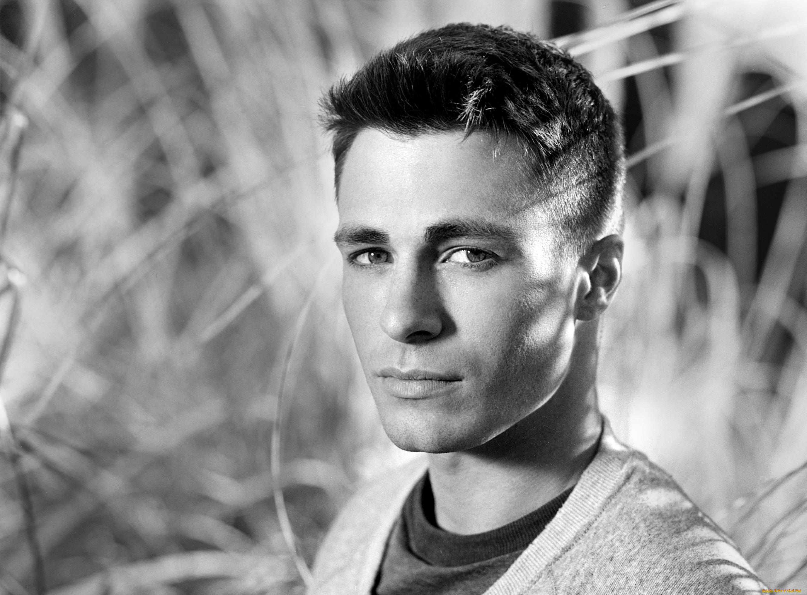 мужчины, colton, haynes, colton, haynes