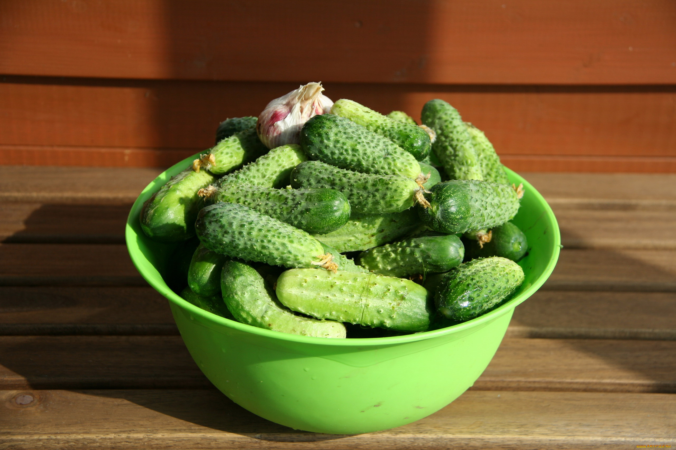 еда, огурцы, чеснок, свежие, миска, урожай