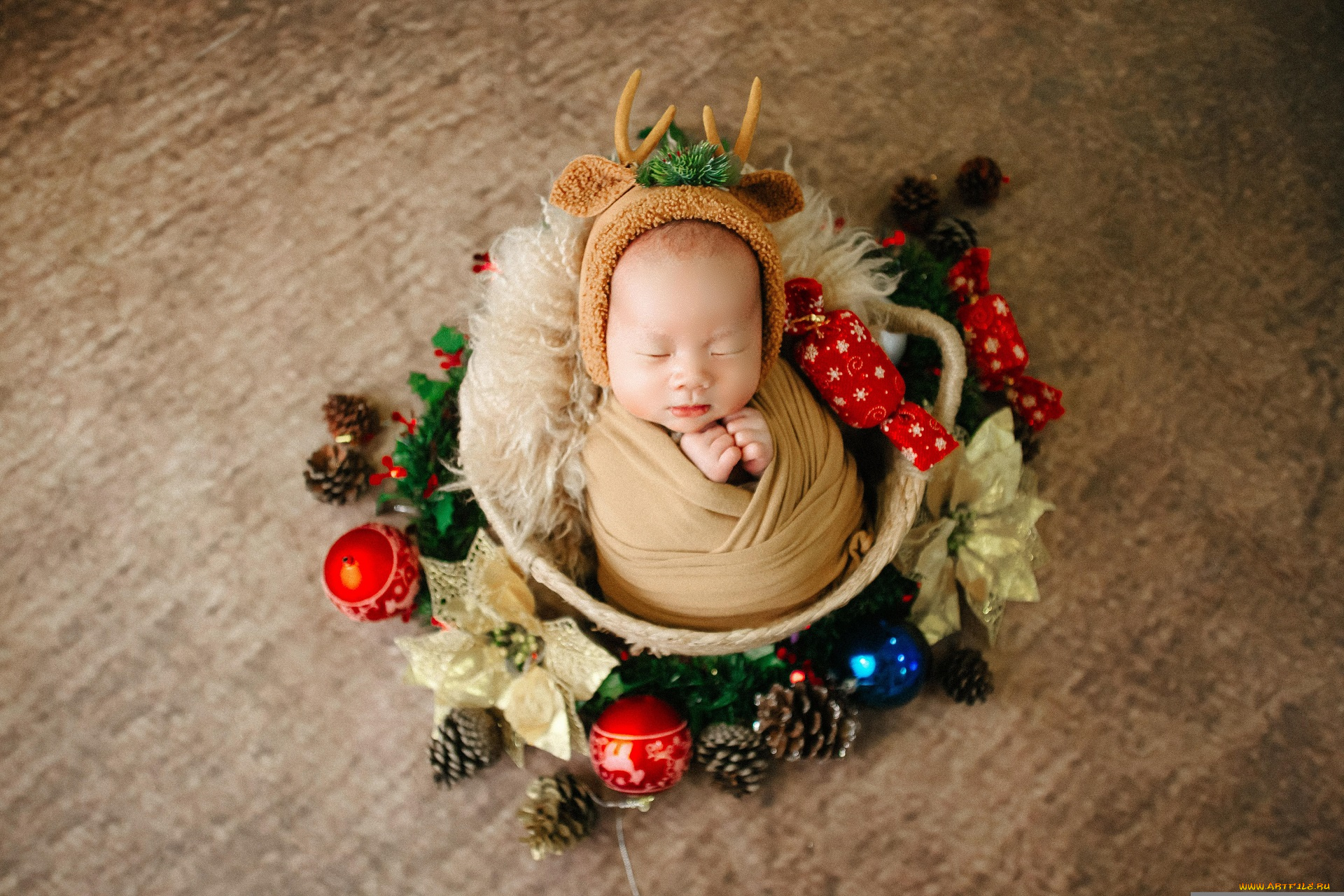 разное, дети, младенец, костюм, гнездо, украшения