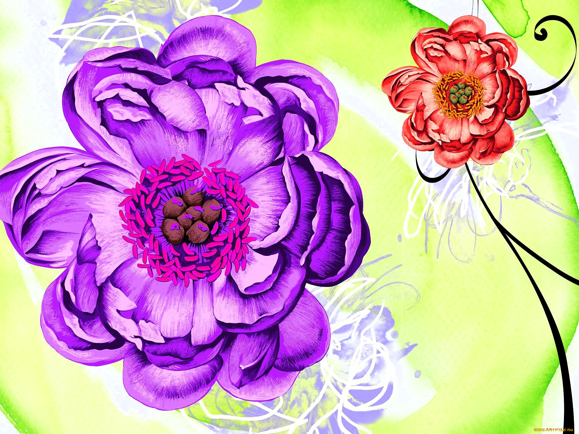 рисованное, цветы