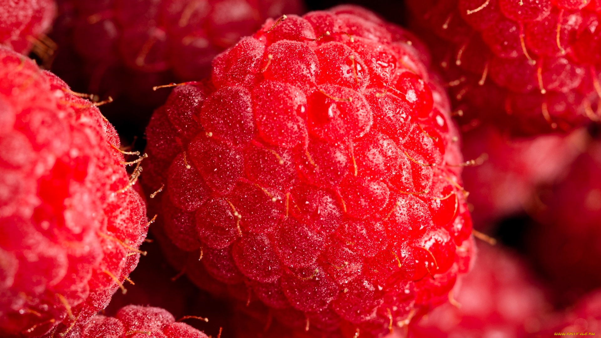 еда, малина, ягоды