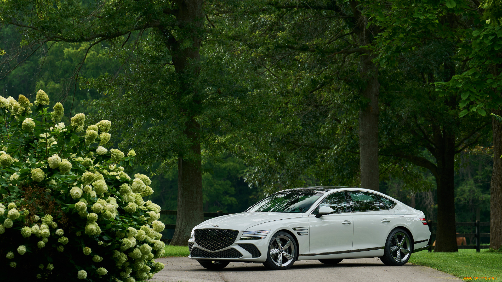 автомобили, genesis