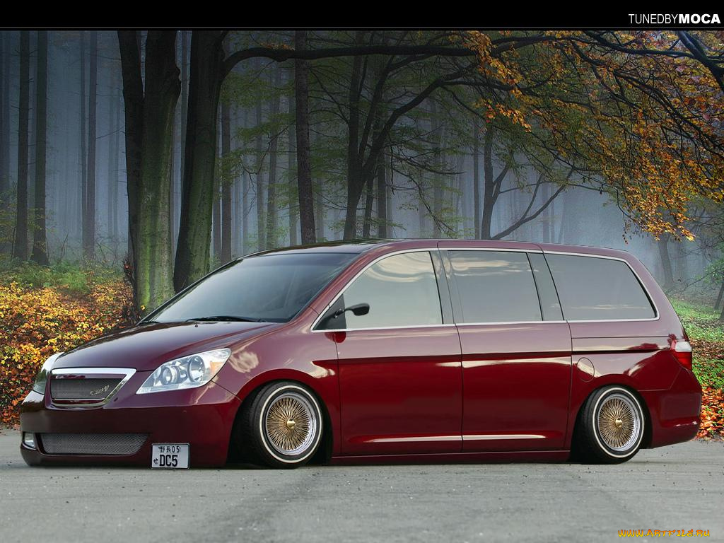 автомобили, toyota