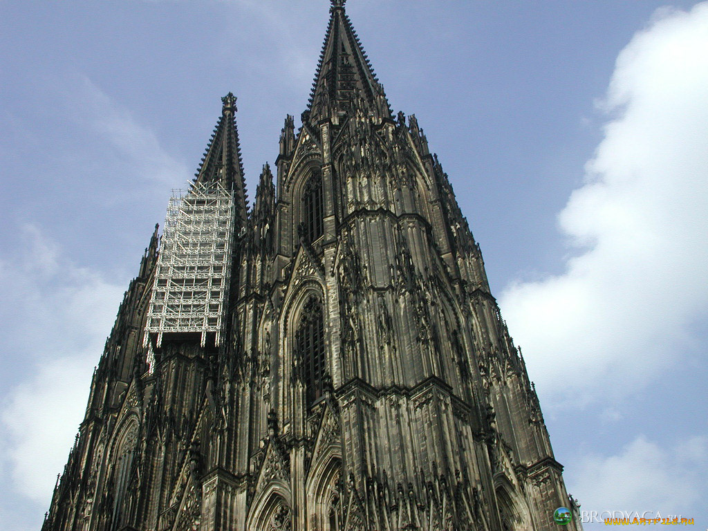 koeln, города, кельн, германия