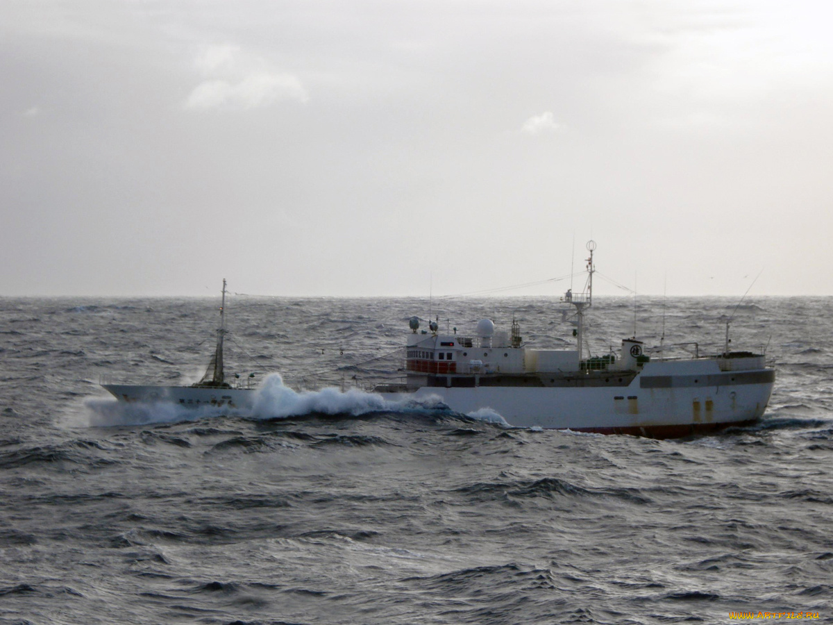 корабли, другое