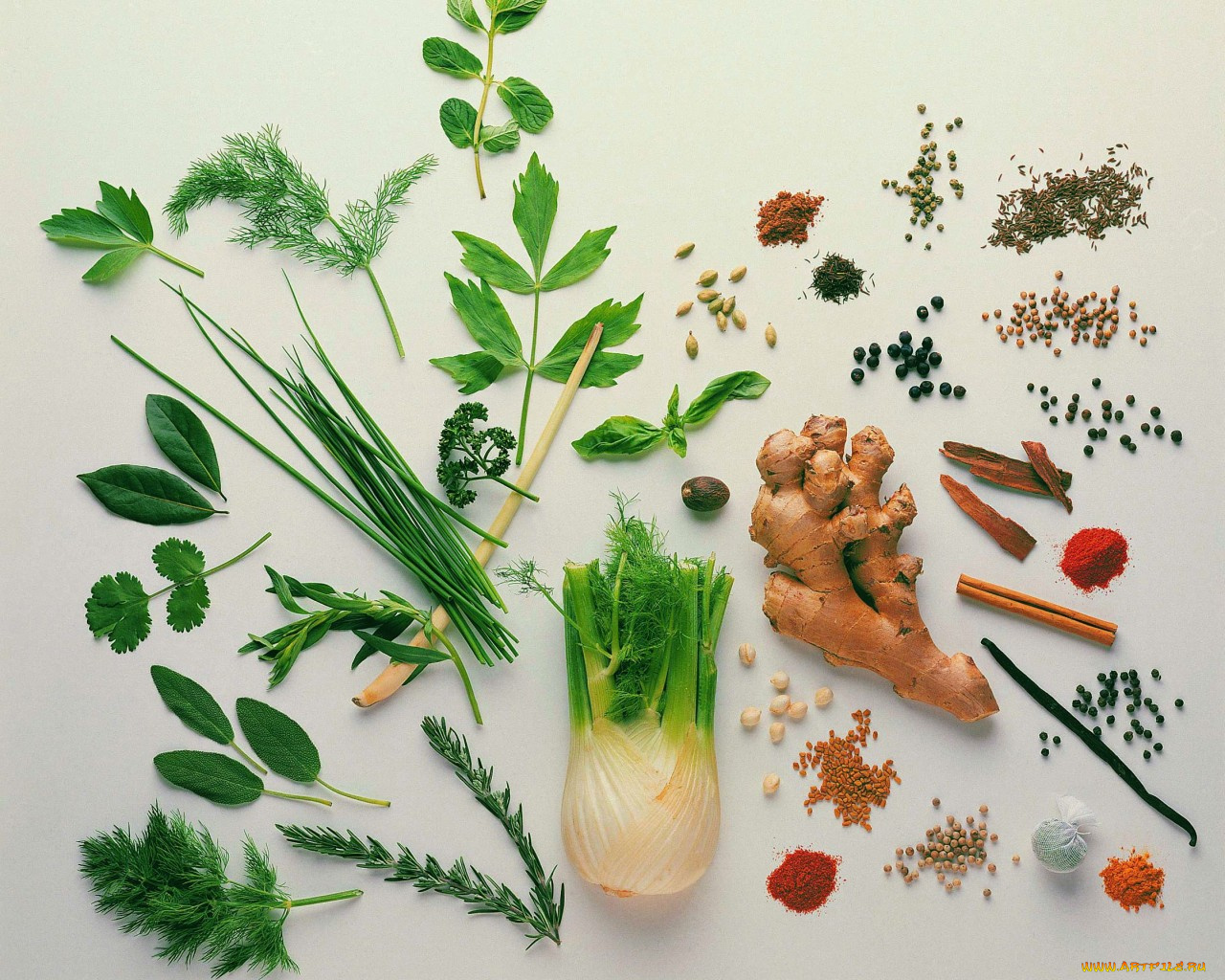 еда, крупы, зерно, специи, семечки