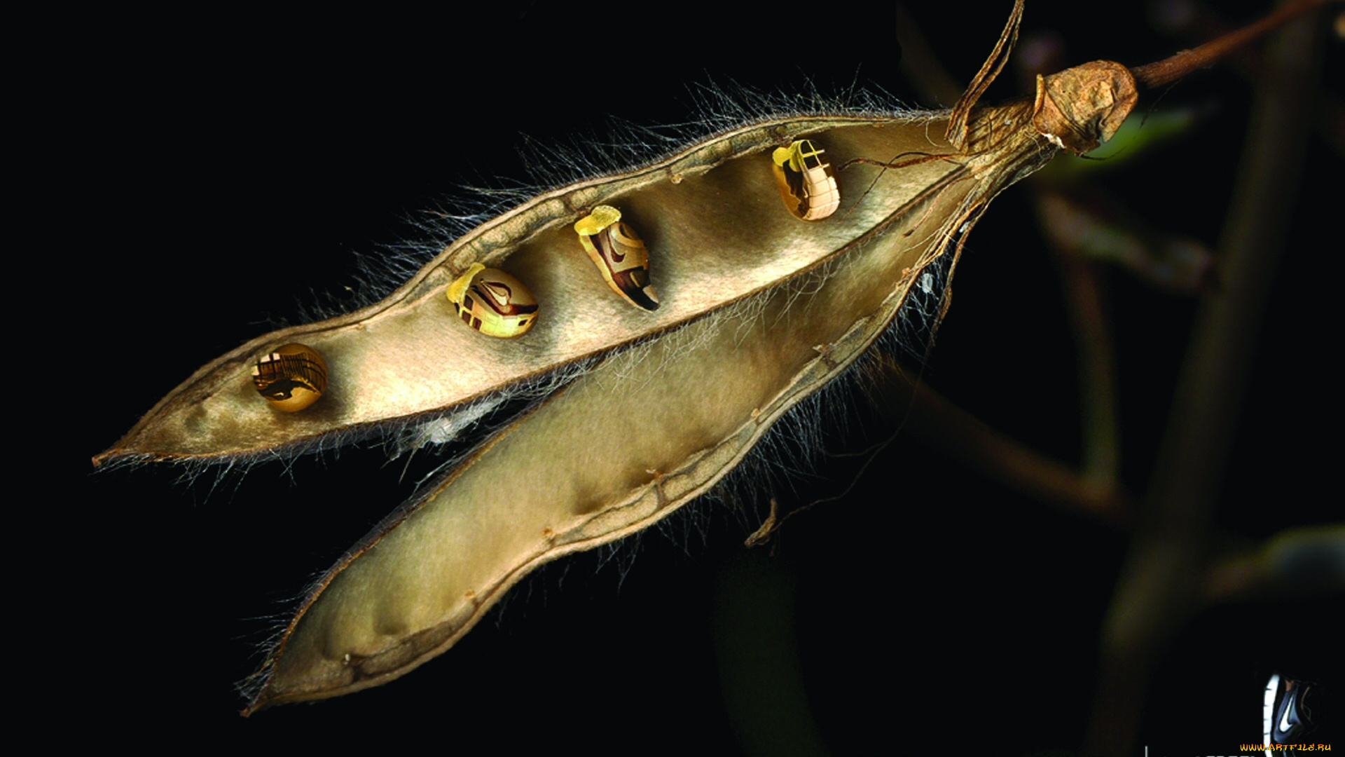 векторная, графика