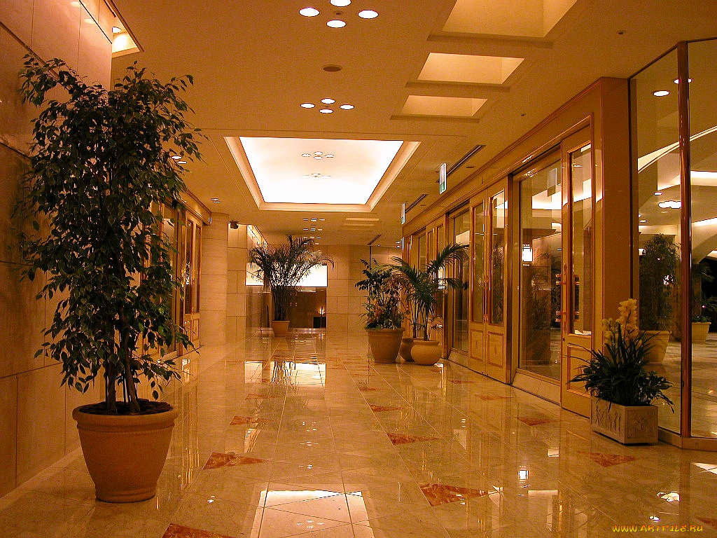 интерьер, холлы, лестницы, корридоры
