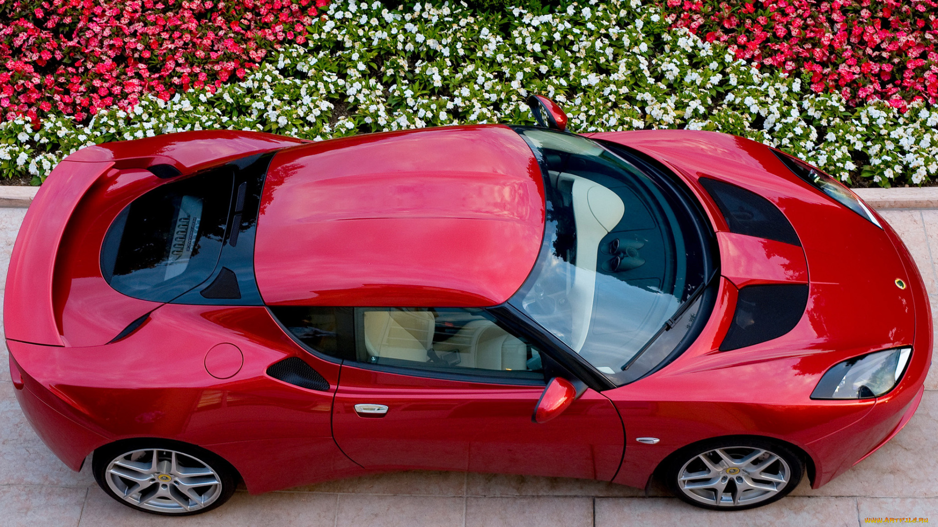 автомобили, lotus