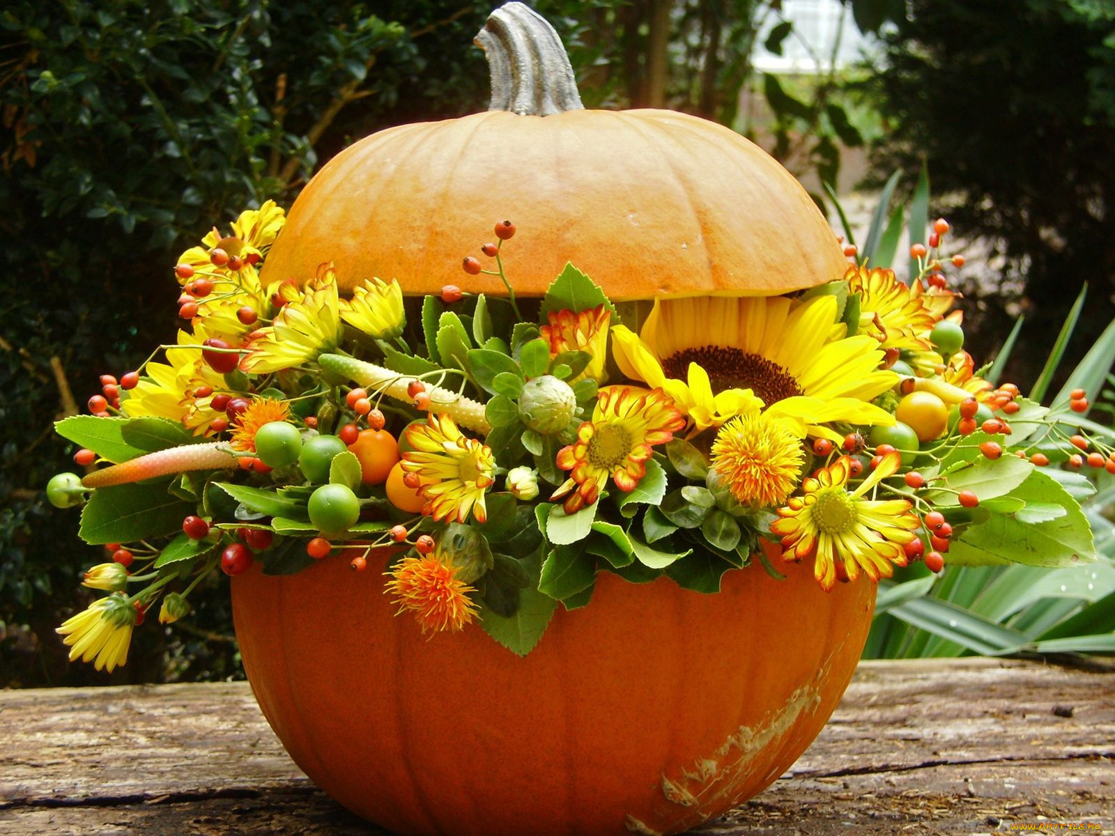 цветы, букеты, композиции