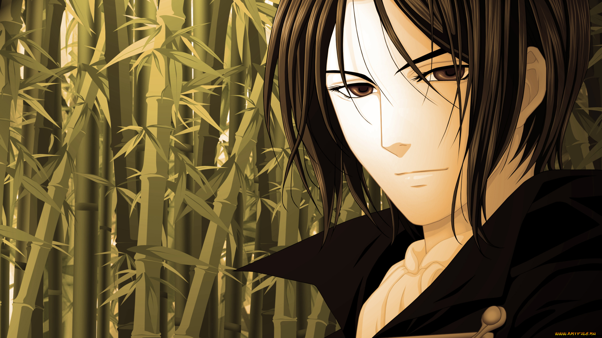 аниме, hakuoki