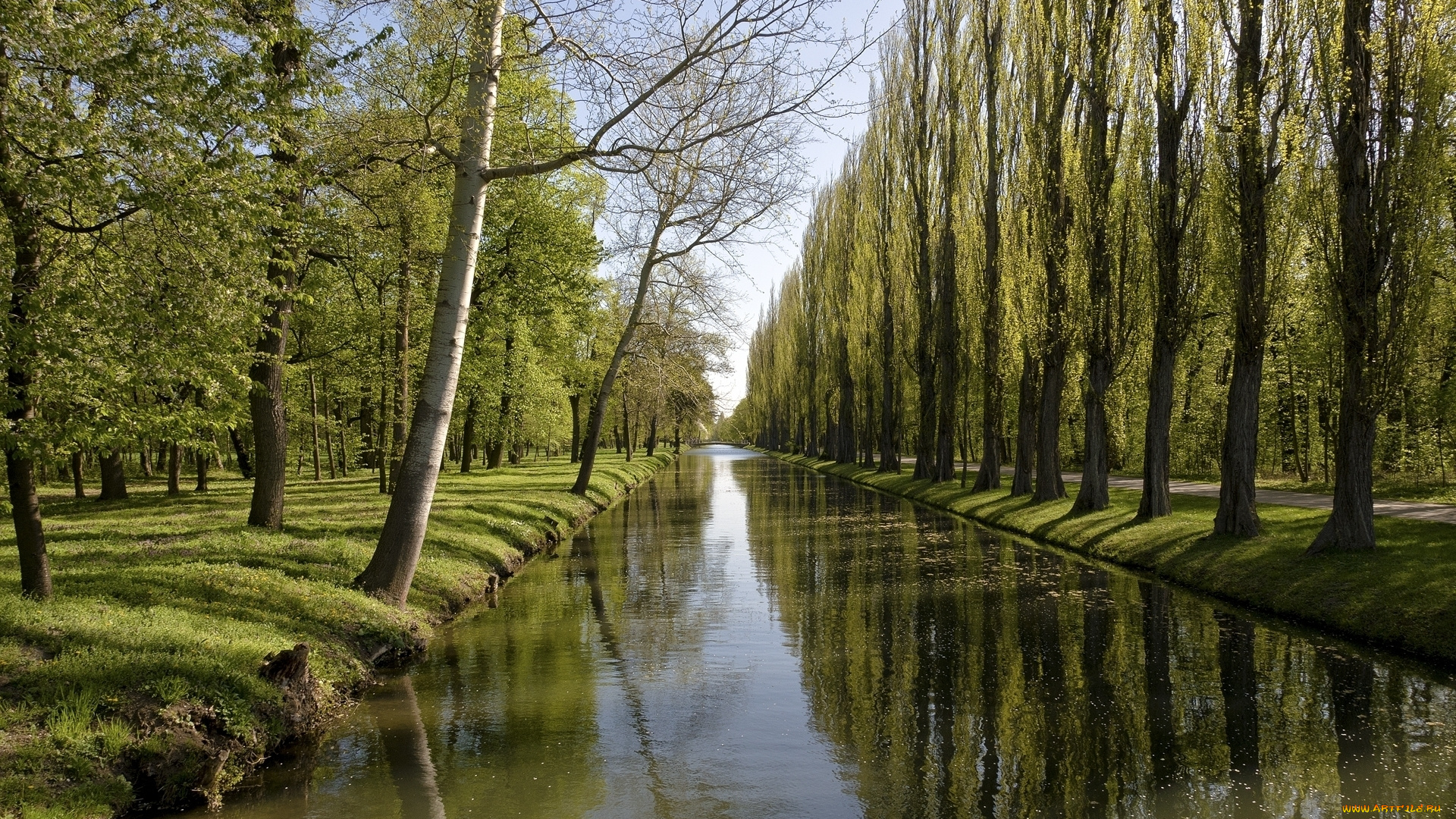 природа, парк, аллея, деревья, речка