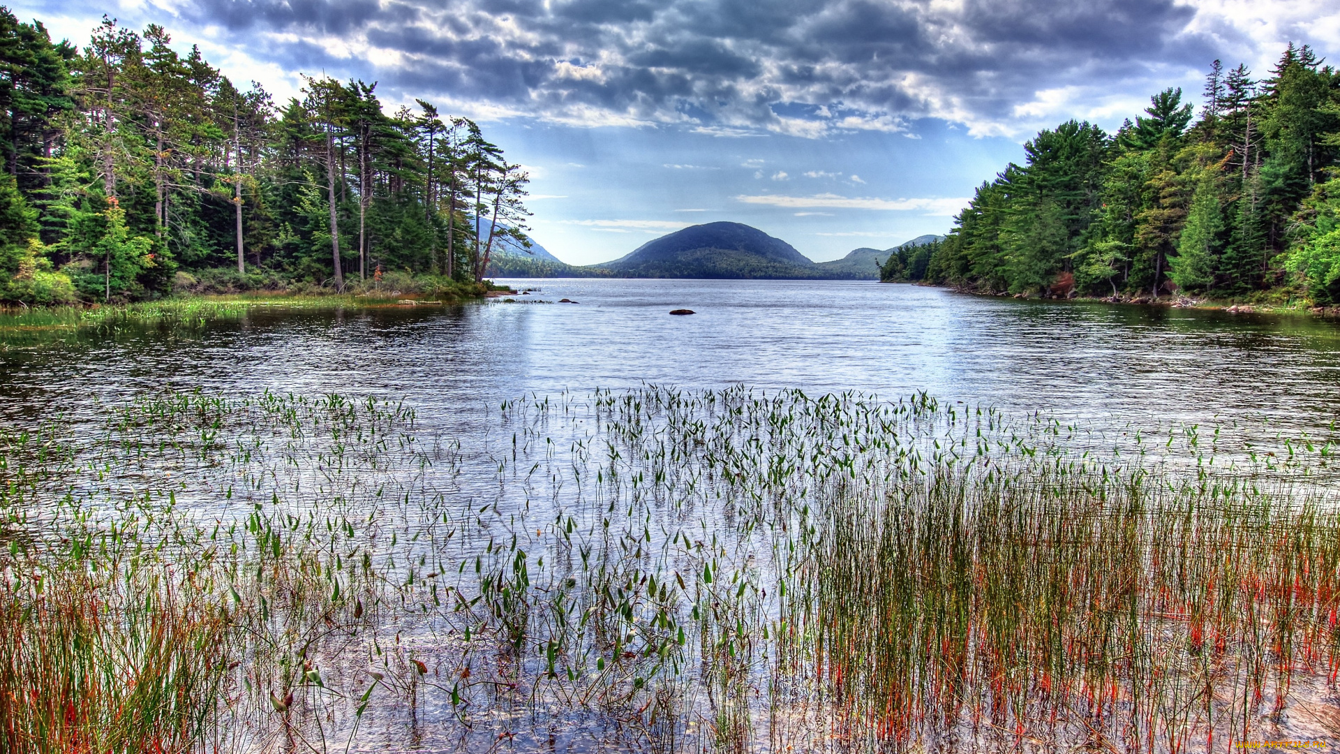 природа, реки, озера, гора, лес, вода