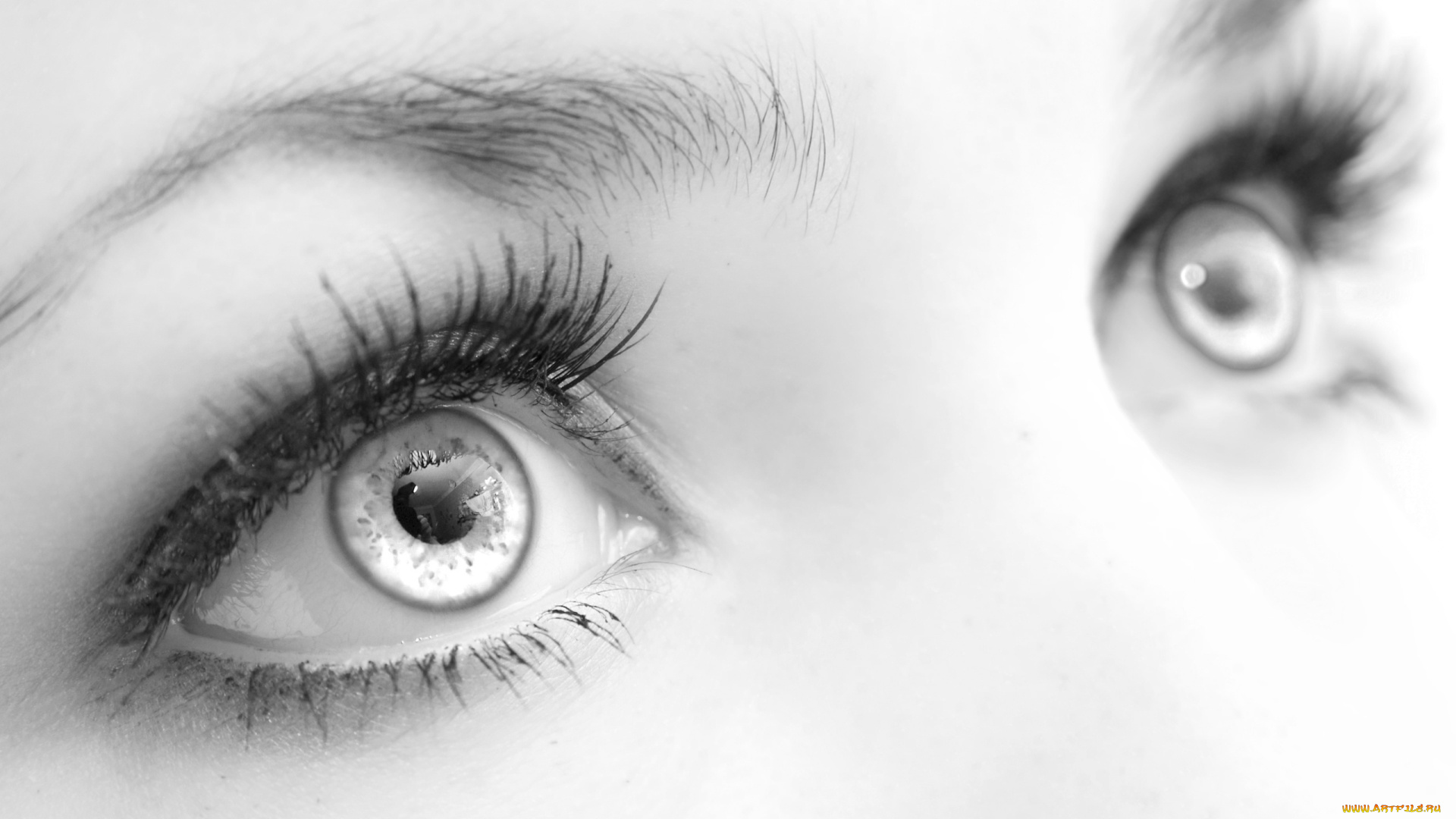 разное, глаза, взгляд