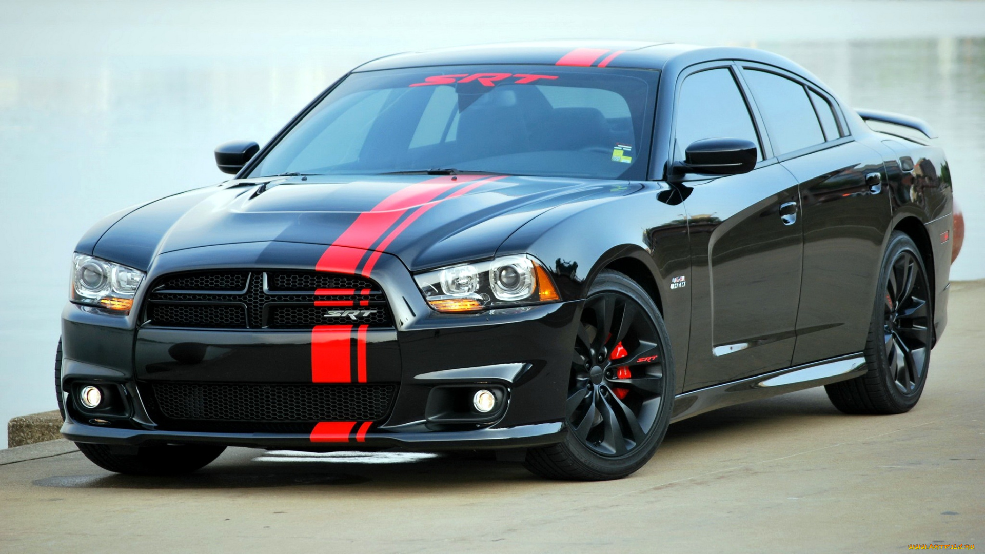 dodge, viper, автомобили, спортивный, сша