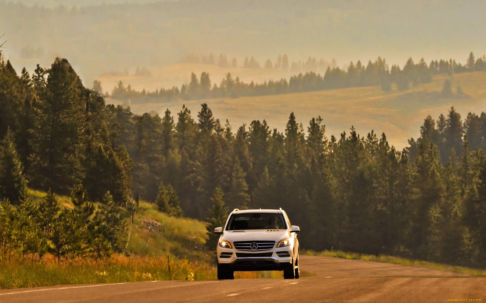 автомобили, mercedes, benz, mercedes-benz