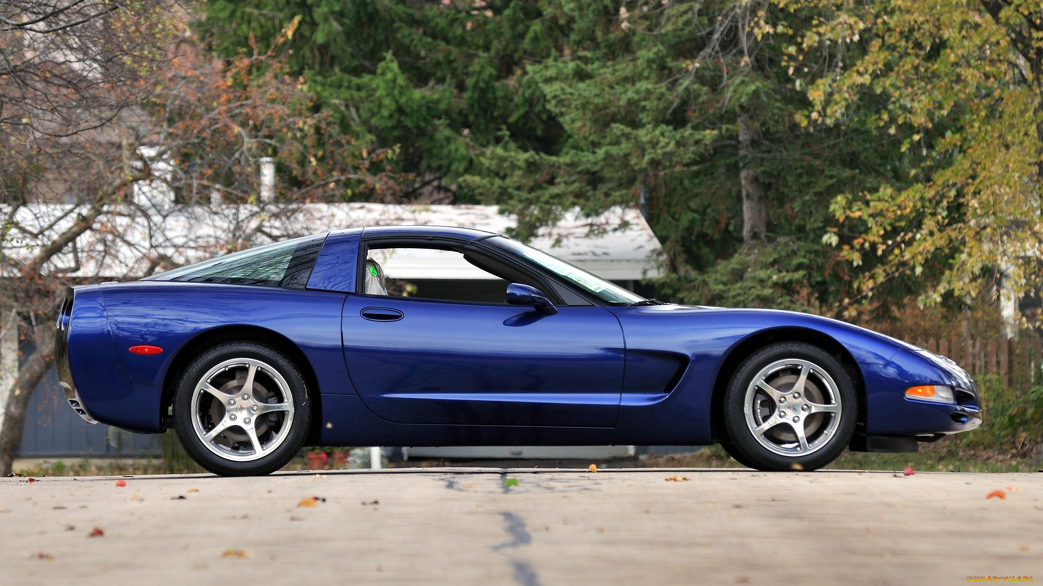 corvette, автомобили, корвет, general, motors, сша