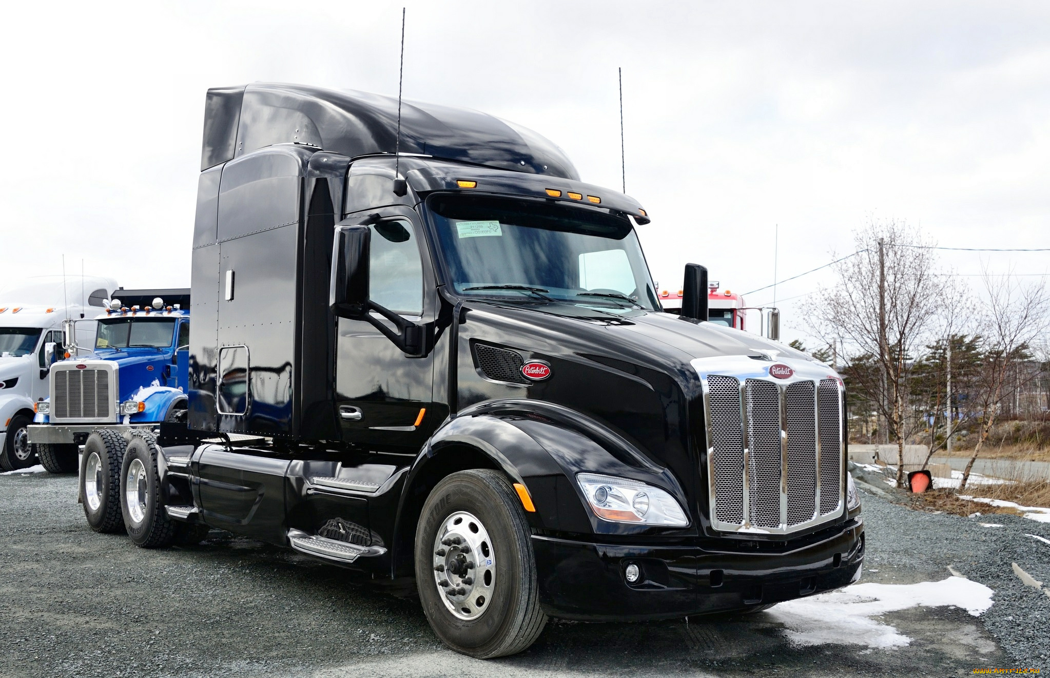 peterbilt, автомобили, классические, тягачи, седельные, сша, company, motors, грузовики