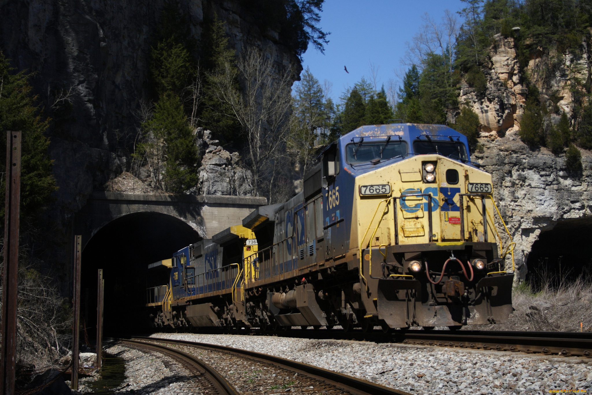 техника, поезда, локомотив, рельсы, состав