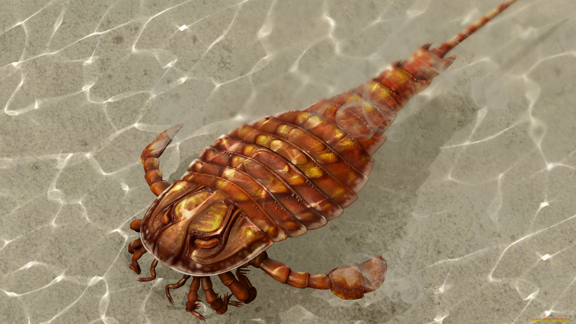 3д, графика, животные, , animals, eurypterida, вода