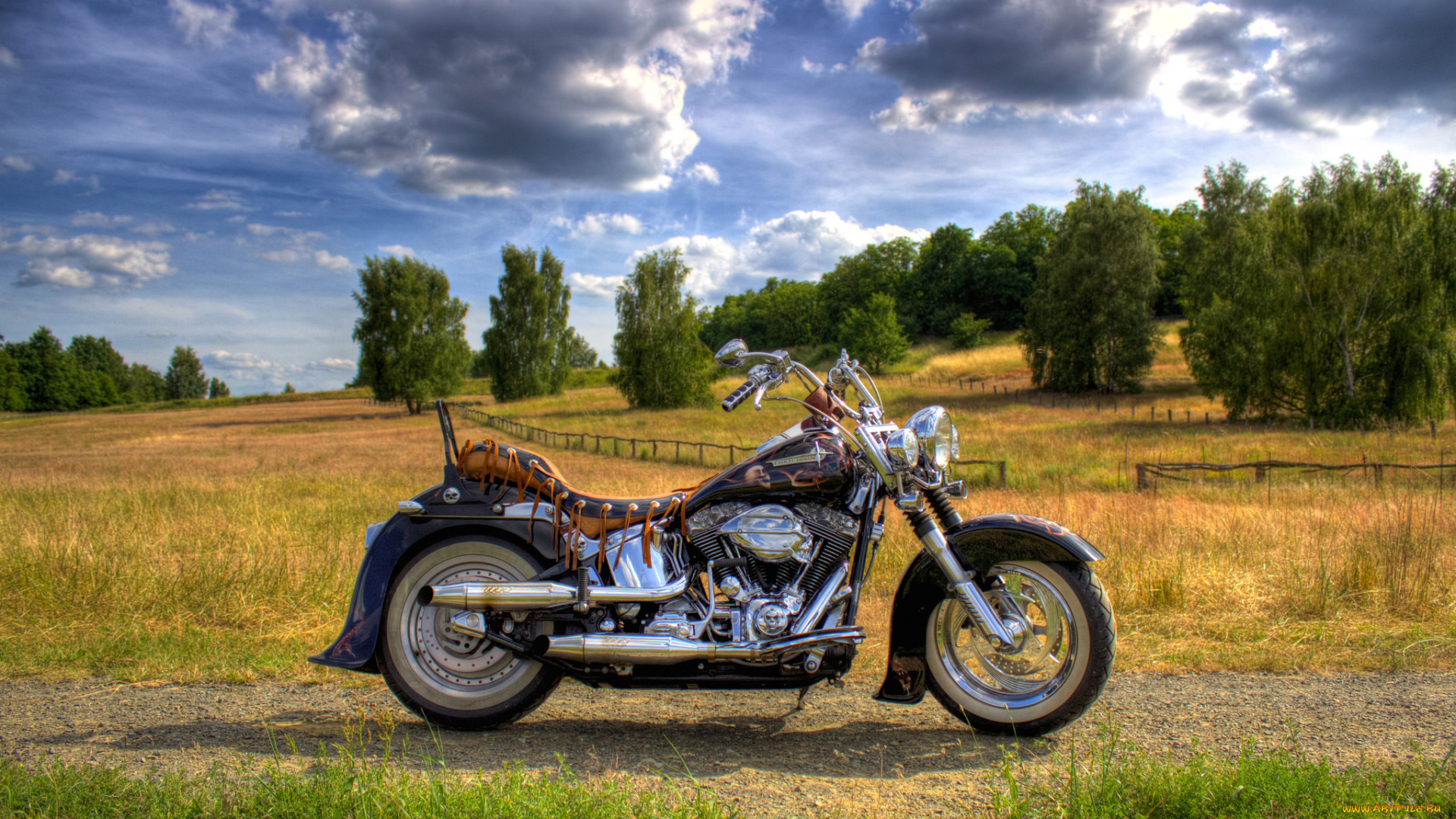 мотоциклы, harley-davidson, байк