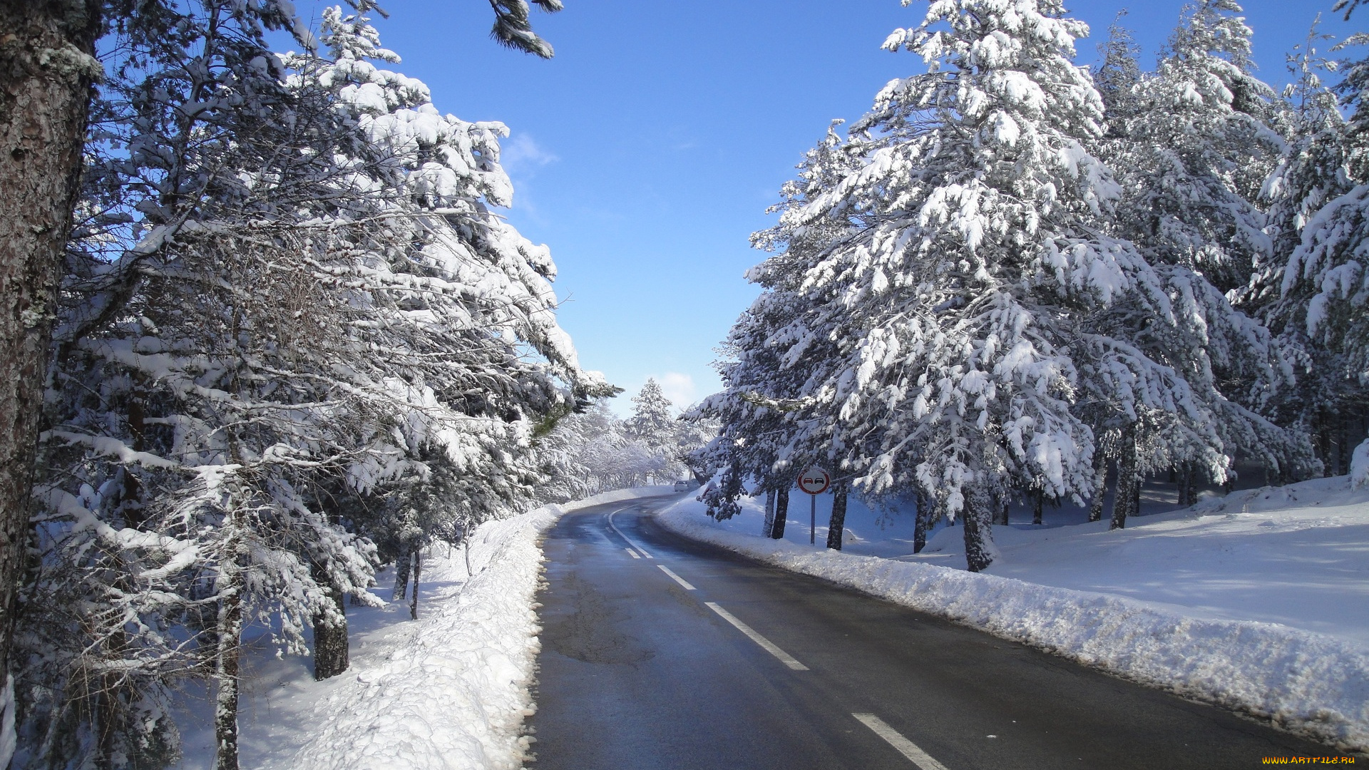 природа, дороги, снег, деревья