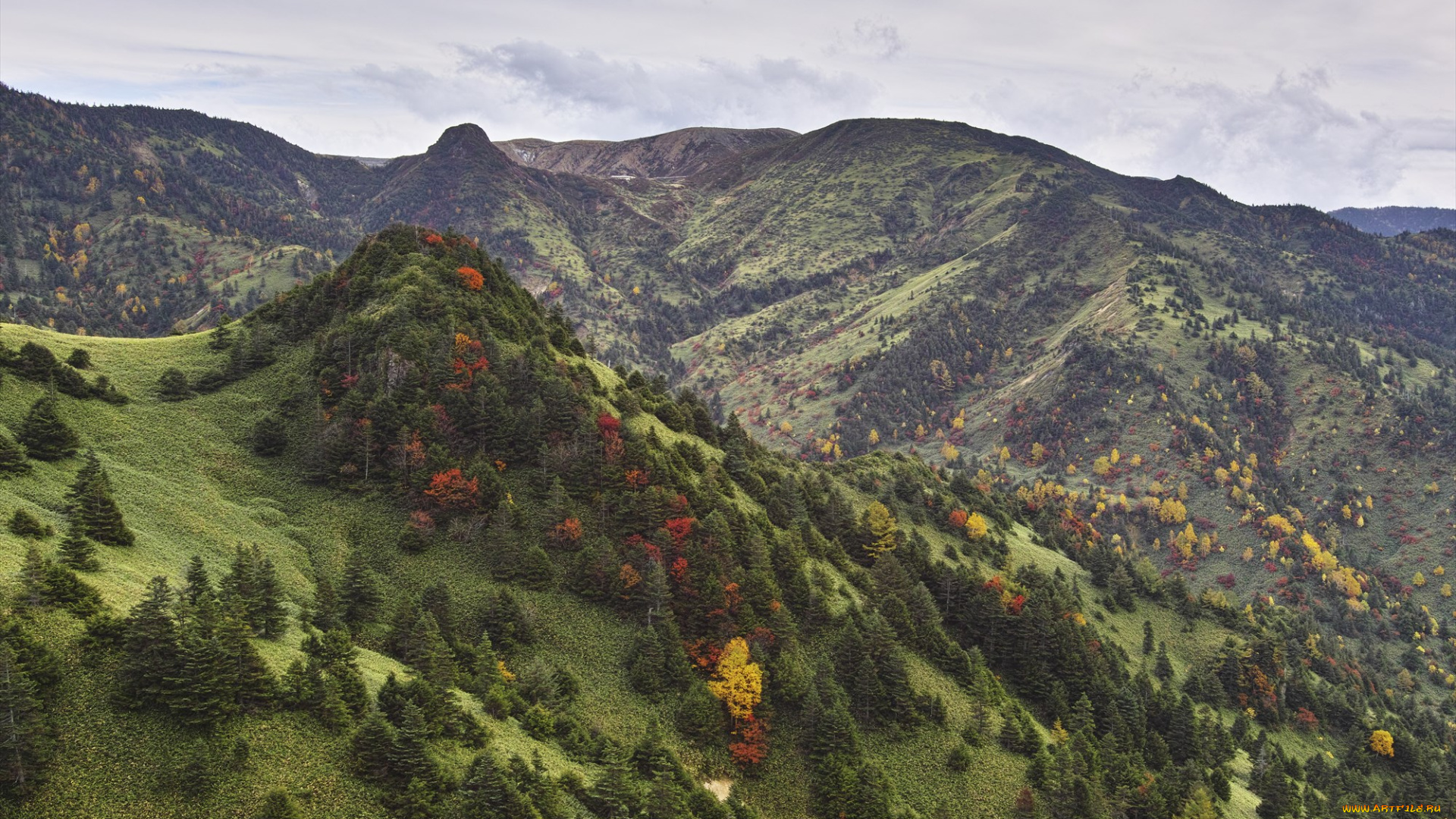 природа, горы, takaten, лес, склоны