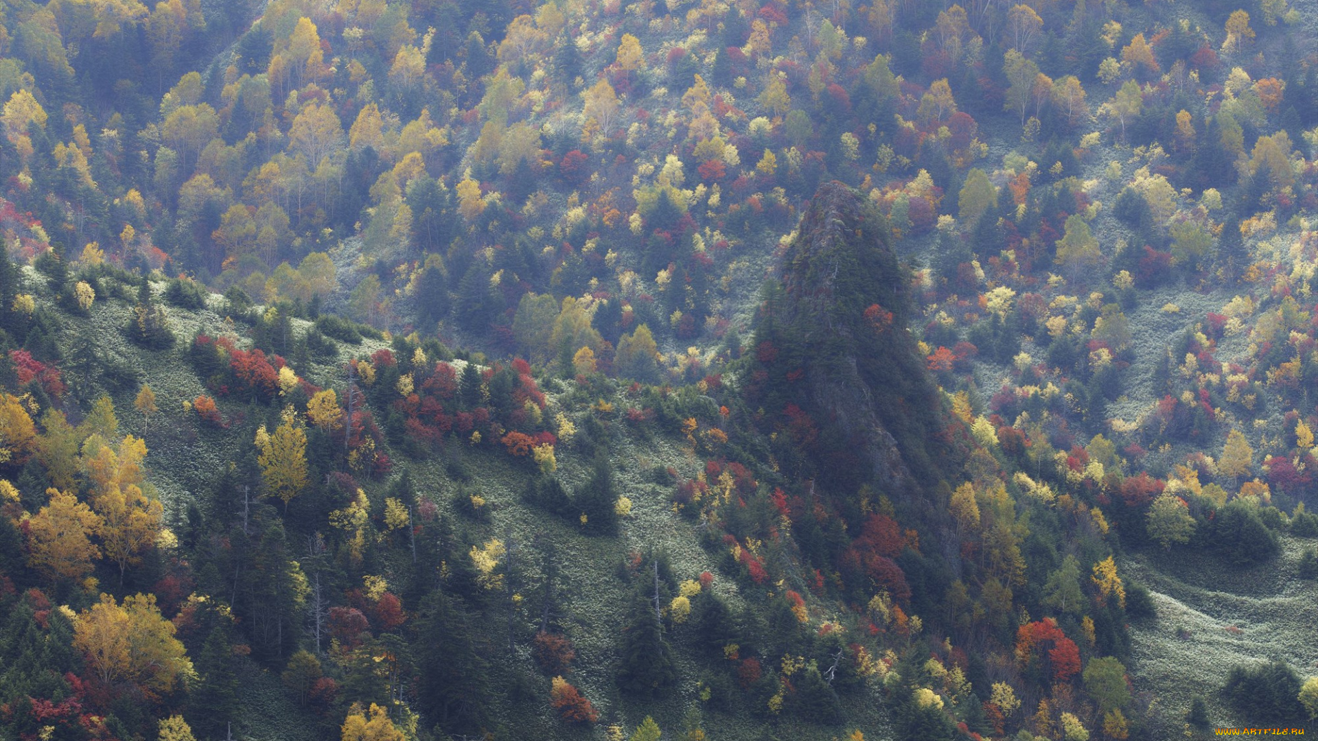 природа, лес, takaten, осень, деревья, склоны, горы