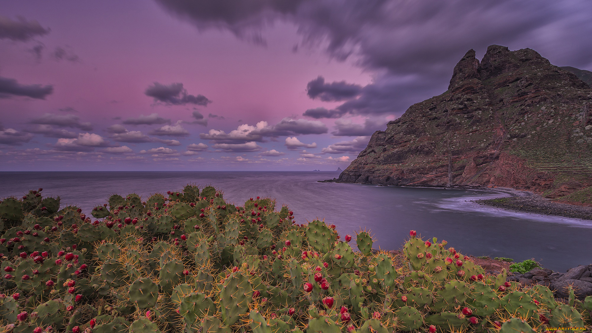 природа, побережье, кактусы, небо, цветут, пунта-дель-идальго, горы, скалы, атлантический, океан, выдержка, пляж, облака, тенерифе, канарские, острова, остров