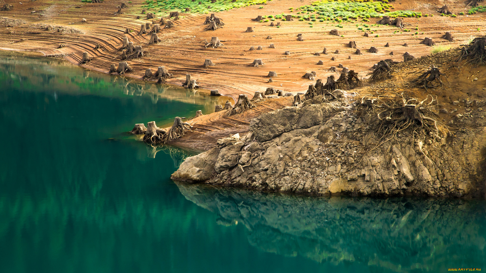 природа, реки, озера, корни, пеньки, берег, вода, озеро