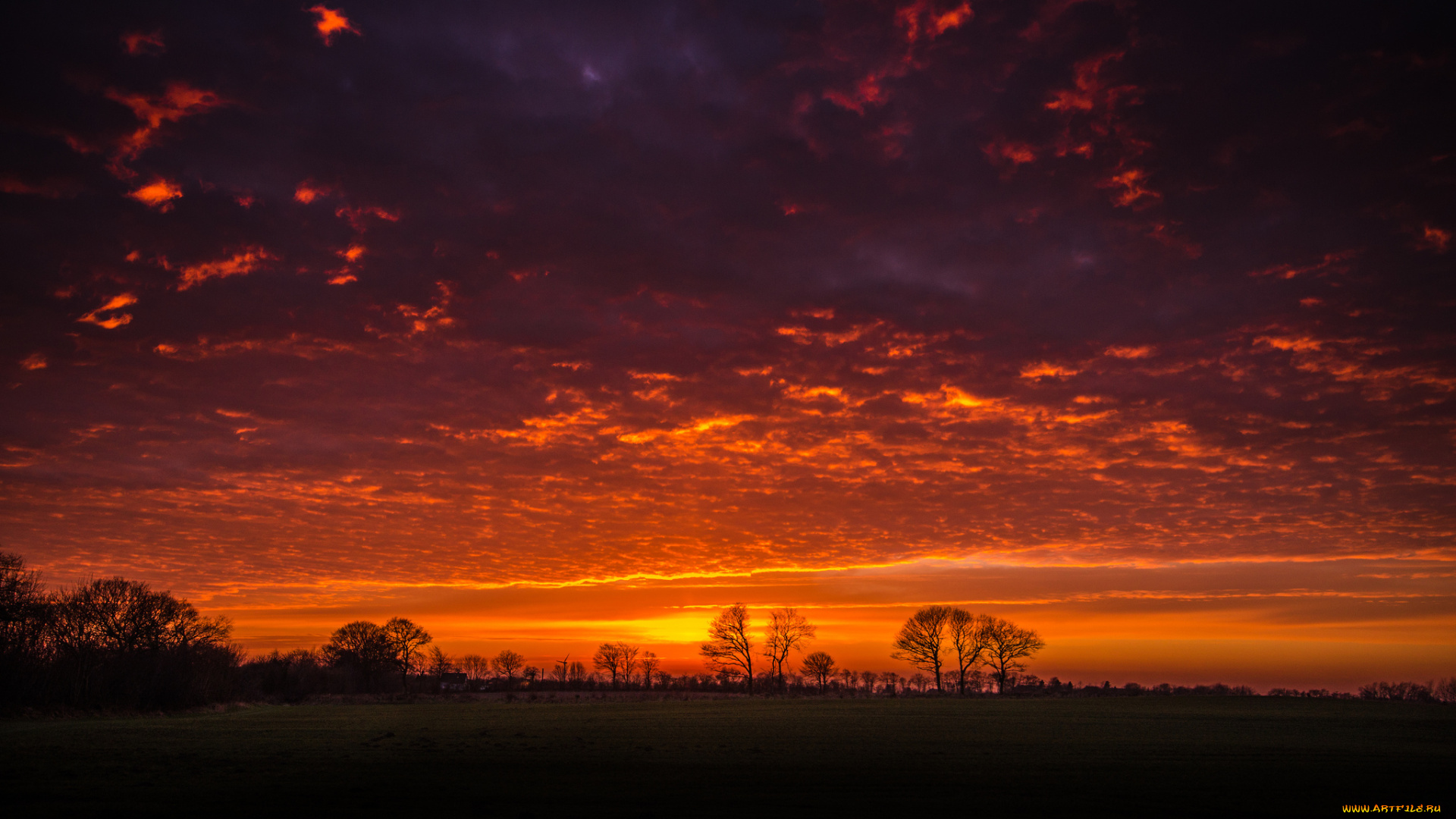 природа, восходы, закаты, ветки, силуэты, деревья, облака, небо